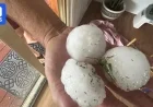 Massive Hail and Storms Batter South-East Queensland, Causing Injuries