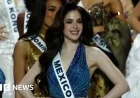 Miss Universe Contestants Exit After Organizer Criticizes Miss Mexico