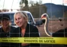 B.C. Ostrich Cull: From Flu Outbreak to ‘Ostrichfest’ and High Court