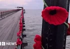 Stunning 110,000-Poppy Display Unveiled on Southend Pier in Video