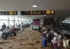 Air Traffic Control Glitch Disrupts Over 300 Flights at Delhi Airport