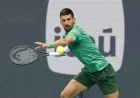 Athens ATP Semifinal: Djokovic vs Hanfmann Predictions