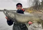 13-Year-Old Angler Catches 1-Meter Salmon in Saint-François River