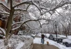 Winter Forecast: Will More Snow Bring Colder Conditions?