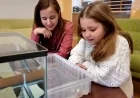 6-Year-Old Girl Saves Harvard’s Axolotl Research with Funding Boost