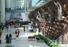 Delhi Airport Tech Glitch Delays Nearly 800 Flights