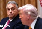 Viktor Orban’s Actions and Inactions in Hungary Unveiled