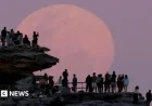 Global Viewers Captivate by Beaver Supermoon Phenomenon
