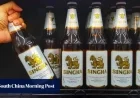 Thailand Enforces $300 Fines for Daytime Drinking in Alcohol Law Update
