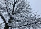 Northeast Ohio Braces for Winter Storm: Up to 10 Inches of Snow Expected