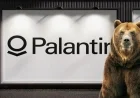 Investor Warns of Imminent Collapse for Palantir Shares