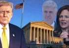 Trump’s Anger Erupts at Supreme Court Over Appointees’ Defection