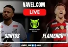 Live Score Updates: Flamengo vs Santos (0-0)