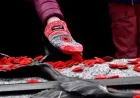 P.E.I. Remembrance Day 2025: What’s Open and Closed?