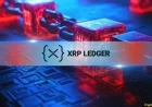 XRP DEX Records 954K Transactions Amidst Price Decline