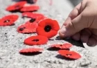 Judges Support Court’s Poppy Ban Following Public Backlash