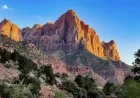 Explore the Stunning Landscapes of Zion National Park Through Photowalks