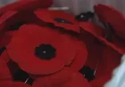 Top Locations for Manitobans to Commemorate Remembrance Day