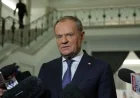 Poland’s Independence Day Approaches: Donald Tusk Shares Insightful Post