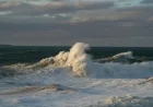 Michigan Issues Gale Warning: Strong November Winds Threaten Tourists and Mariners