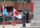 How Waterloo Region Honors Remembrance Day: Key Ways to Participate
