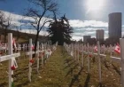 Calgary Hosts 2025 Remembrance Day Ceremonies and Events