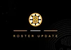 Bruins Recall Alex Steeves; Elias Lindholm Moves to Injured Reserve