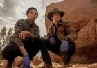 “NCIS: Sydney S3E4 Unveils UFO Mystery in Australian Outback”