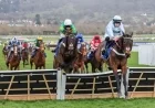 Cheltenham Festival 2026: Pertemps Final Qualification Races and Eligible Horses