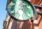 Starbucks Expands Holiday Merchandise Collection Amid Bearista Cup Frenzy