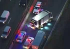 Fatal Pedestrian Crash Disrupts Traffic Near Lincoln Tunnel, NJ