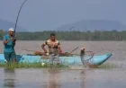 Sri Lankan Fishers Transform Invasive Species Threat into Opportunity