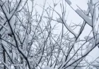 Ice Storm: Over 95% of Power Outages Reconnected