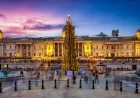 Trafalgar Square Christmas Tree Arrives for 2025 Festive Season