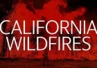 Los Angeles County Battles New Wildfire Outbreak on November 13