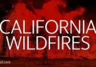 Los Angeles County Combats Wildfire Surge on November 13