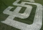 Padres Consider Sale Among Future Team Strategies