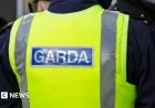 Sinn Féin Expels Member Following Partner’s Far-Right Arrest