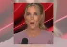 Megyn Kelly Admits Overlooking Epstein as a Pedophile in Early Emails