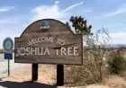 Joshua Tree National Park Endures Government Shutdown with Resilience