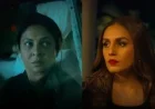 Delhi Crime Season 3 Review: Shefali Shah Shines, Huma Qureshi Impresses