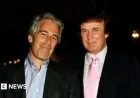 New Epstein Emails Reveal Connections to Trump