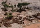 High Court Holds Company Responsible for Brazil’s Worst Environmental Disaster