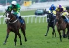 Paddy Power Gold Cup: Expert Timeform Ratings and Final Verdict