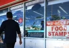 U.S. Food Stamp Data Reveals Key Insights