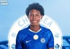 Chelsea Secures Emerging Talent from IDV