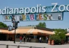 Chimpanzee Escape Triggers Temporary Lockdown at Indianapolis Zoo