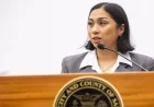 Sunset Supervisor Isabella Alcaraz Resigns Amid Financial and Pet Store Scandals