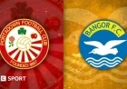 Portadown and Bangor Draw in Thrilling Shamrock Park Clash