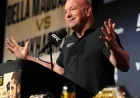 Dana White Predicts UFC 322 to Set $13M MSG Gate Record
